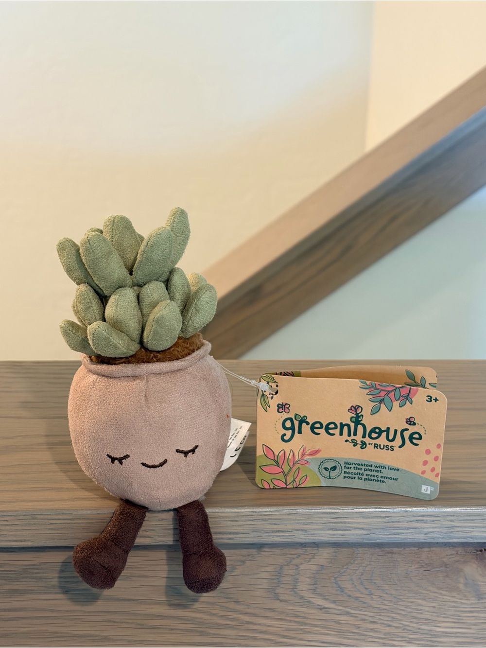 🌱 Greenhouse By Russ Riley the Succulent 🪴 Mini 6” Plush Potted Plant BNWT